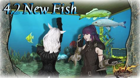 when wishes are fishes ffxiv